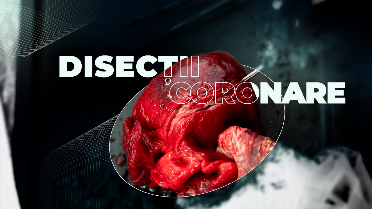 Workshop București: Disecții Coronare