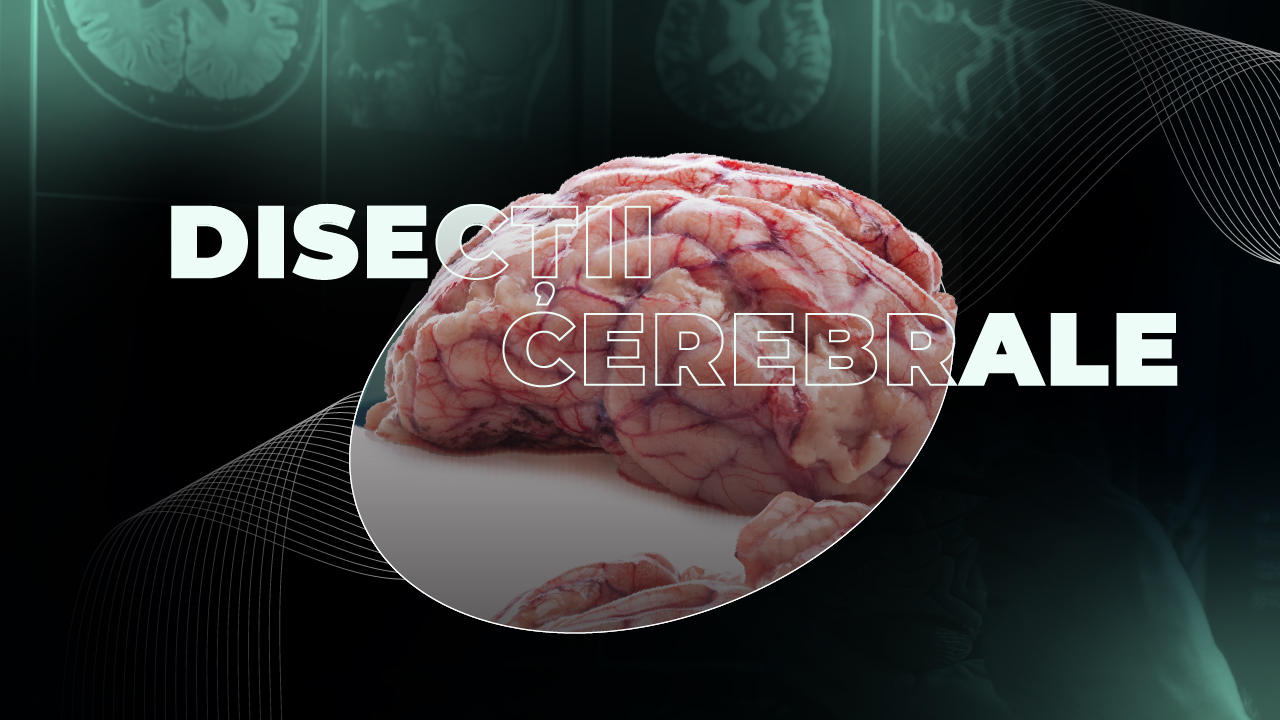 Workshop Oradea: Disecții Cerebrale