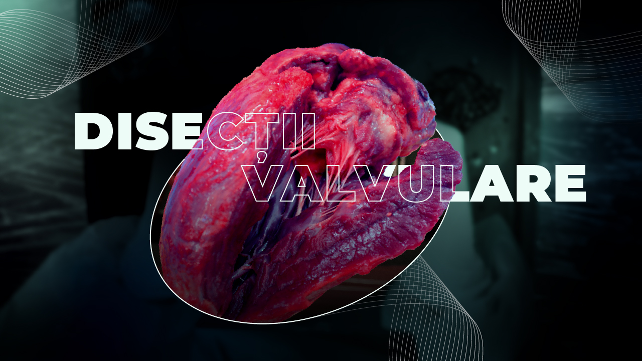 Workshop Ploiești: Disecții Valvulare