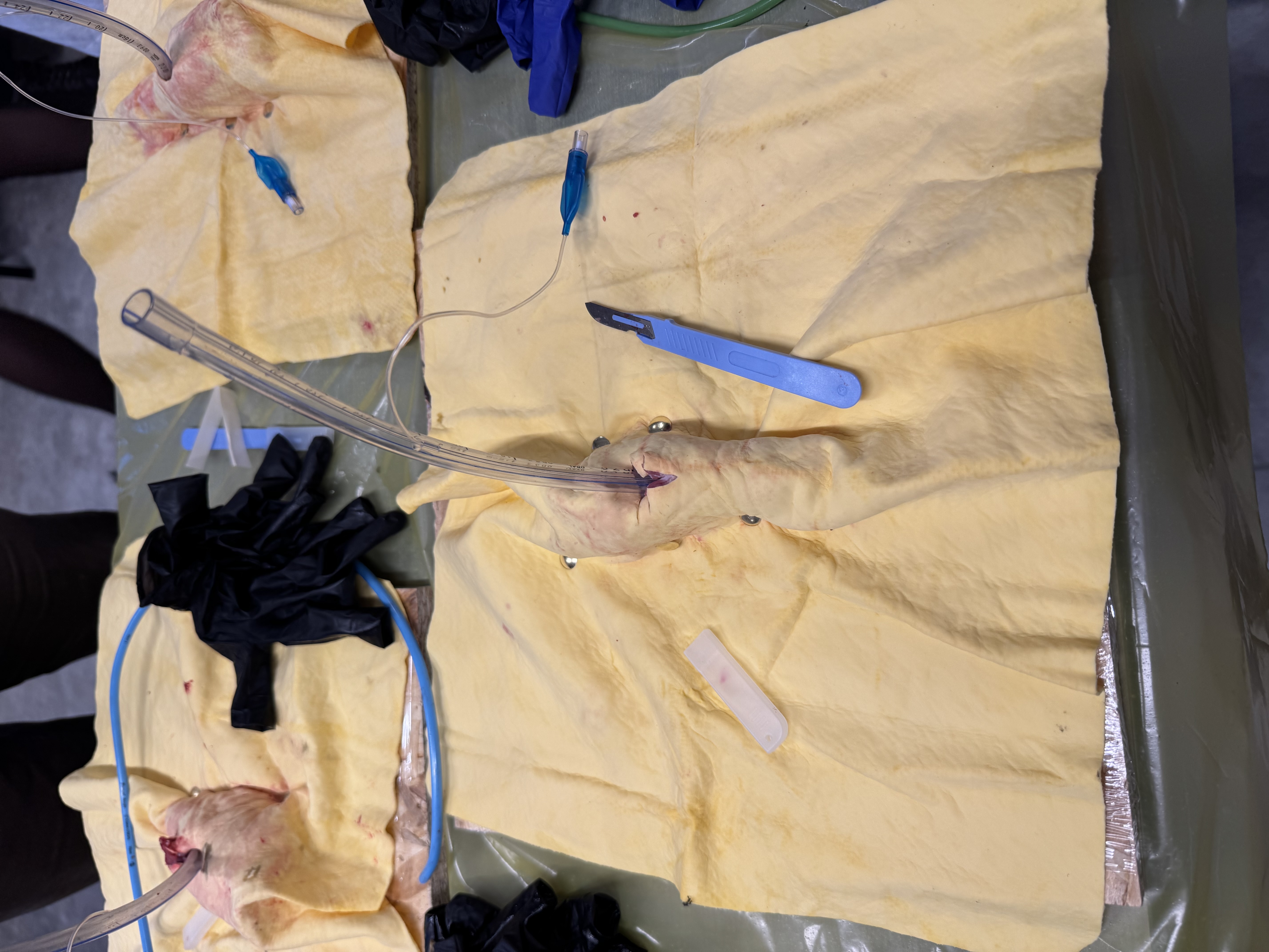 Managementul avansat al căilor aeriene