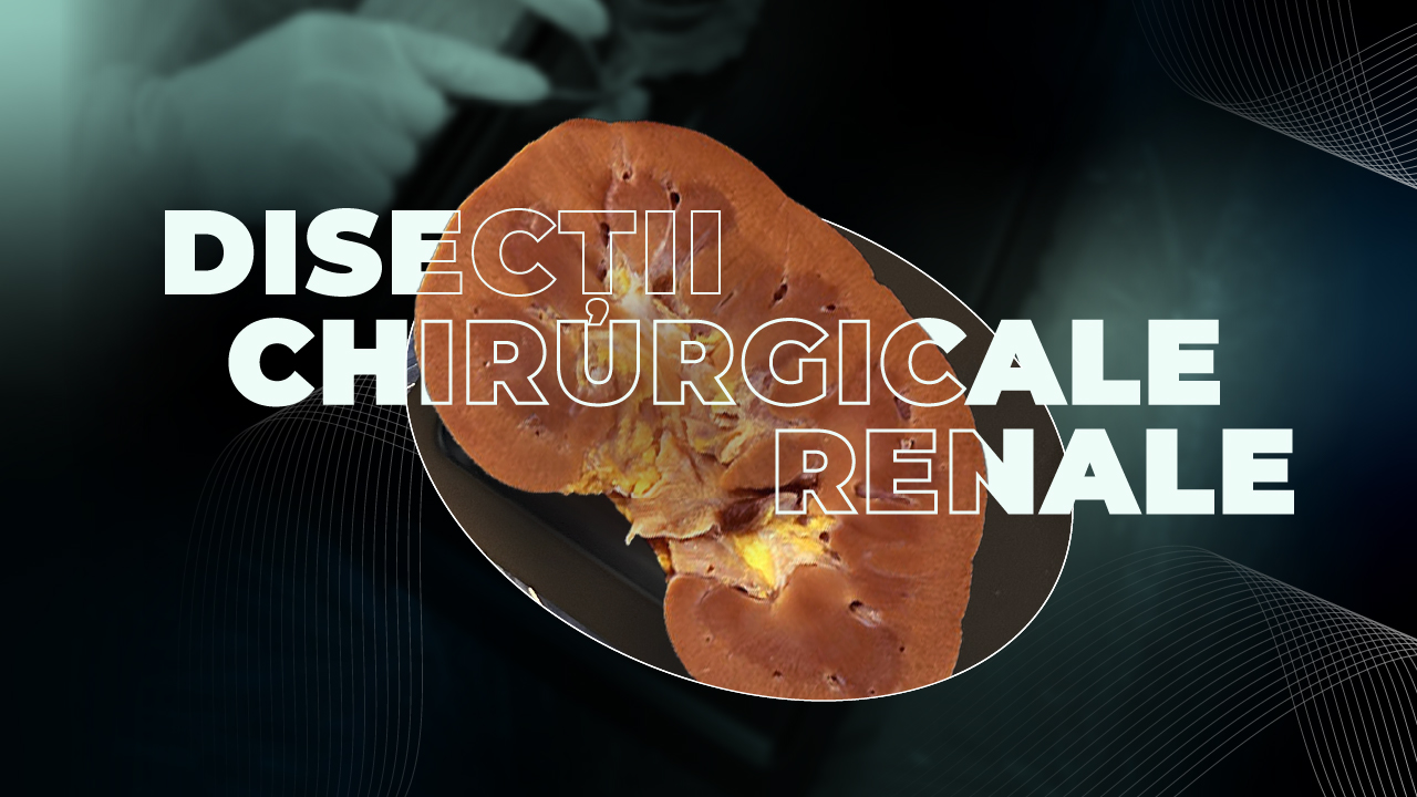 Workshop Cluj Napoca: Disecții Chirurgicale Renale