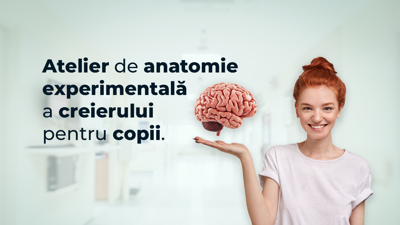 Atelier Cluj Napoca: Anatomia Experimentală a Creierului pentru Copii