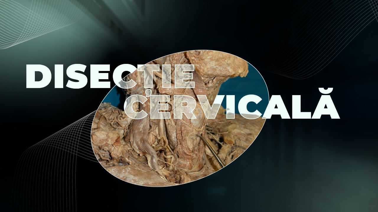 Workshop Cluj Napoca: Disecție Cervicală